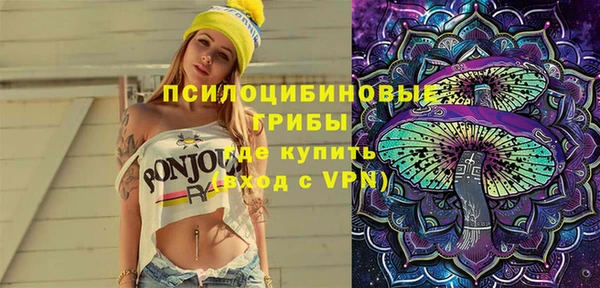 гидра Горнозаводск