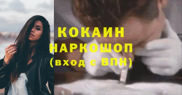 ГАЛЛЮЦИНОГЕННЫЕ ГРИБЫ Гусев