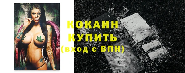 гидра Горнозаводск