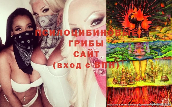 гидра Горнозаводск