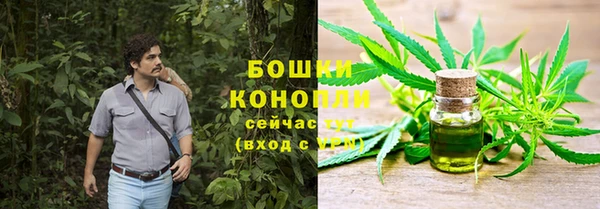 гидра Горнозаводск