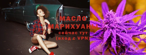 гидра Горнозаводск
