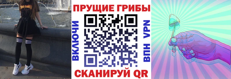 Купить закладки  Валдай  Псилоцибиновые грибы Cubensis 