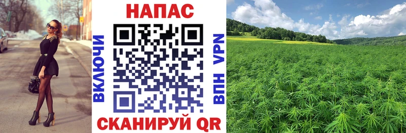 Купить  Валдай  Бошки марихуана конопля 